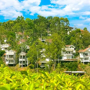 Dazzle Kalpetta